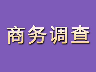 济宁商务调查