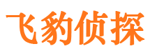 济宁外遇调查取证